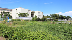 Faculty of Agriculture Research Facilities