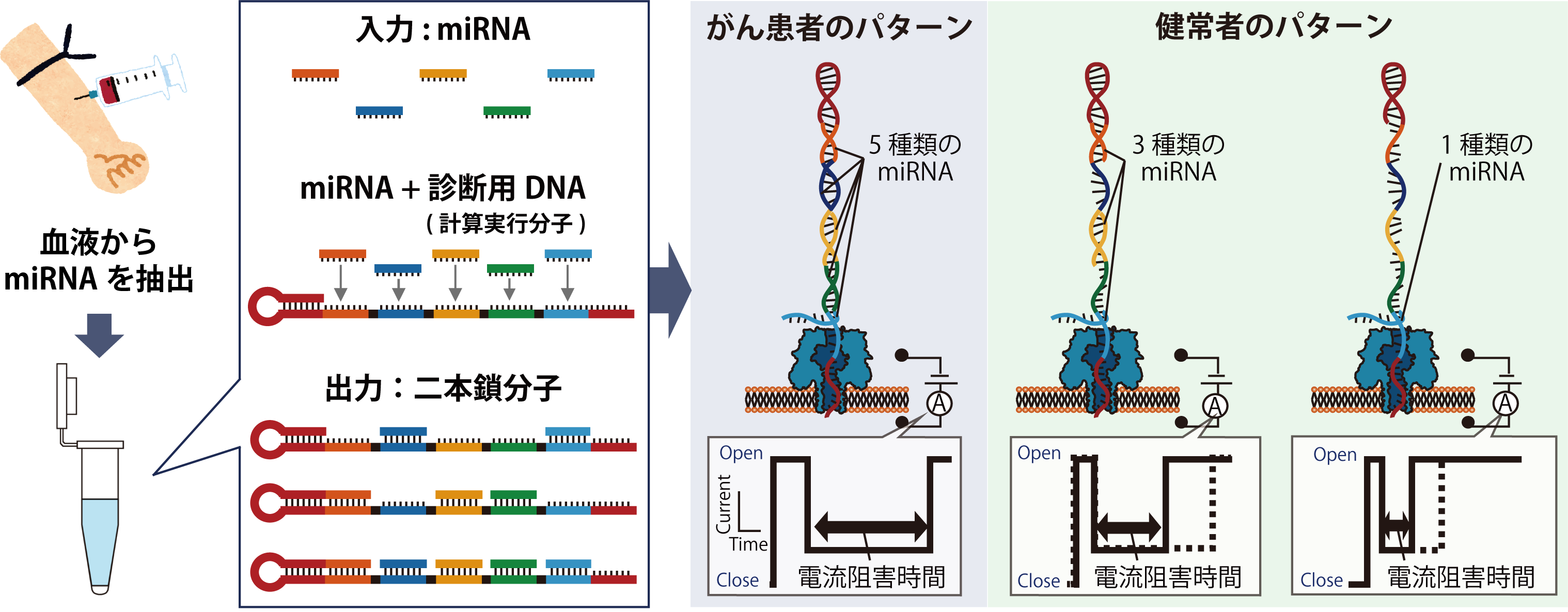 年日リリース〕ナノポアを用いた血中がんマーカーのパターン