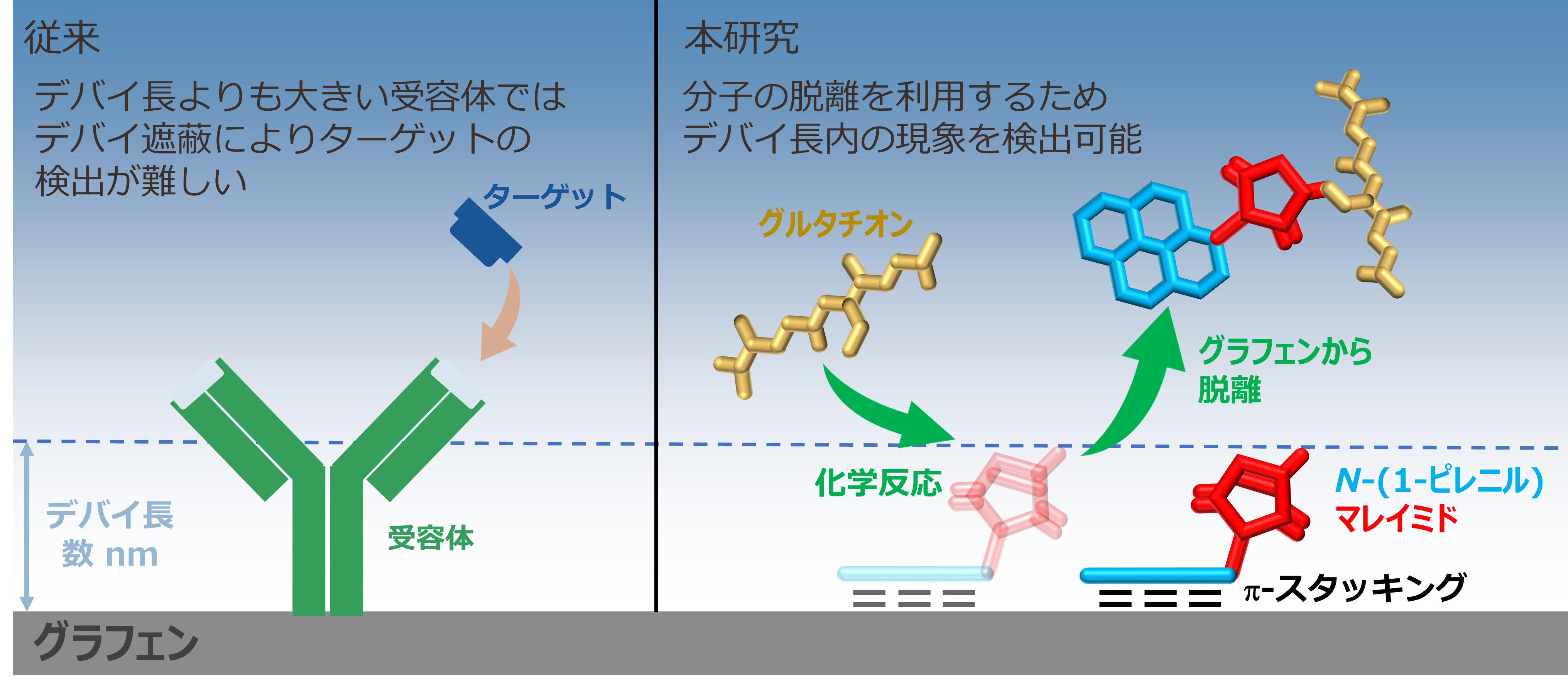 2022年10月3日リリース〕電子デバイスを利用した溶液中の生体由来分子