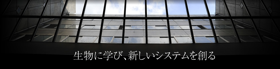 生物に学び、新しいシステムを創る