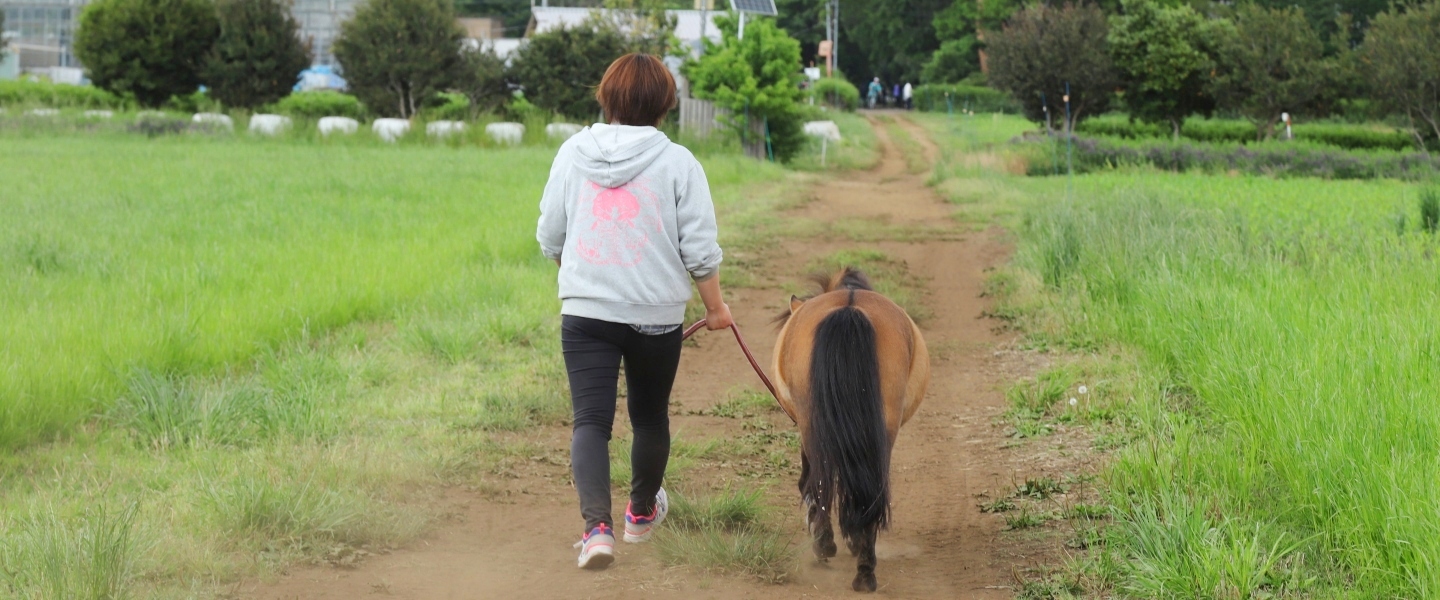 Campus Life Career Support Tokyo University Of Agriculture And Technology