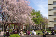 Special website for Prospective Students