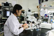 Research Portal Site