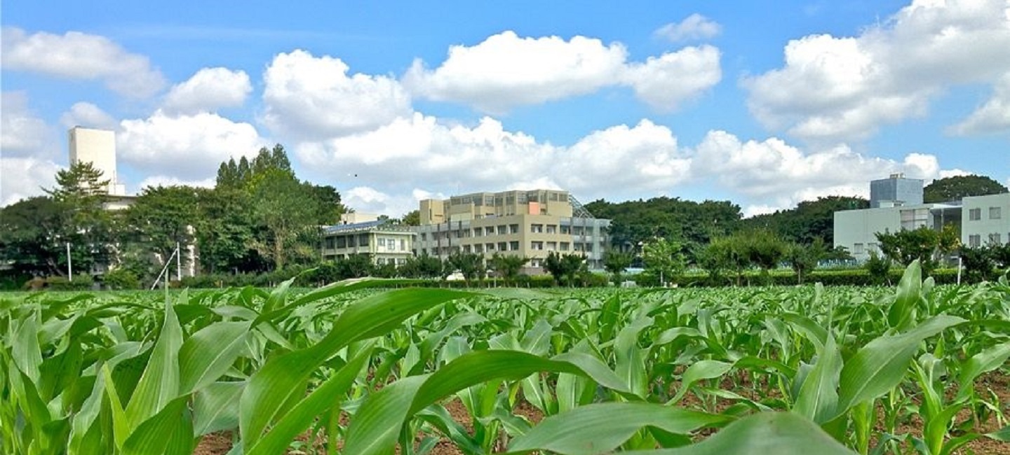 東京 農工 大学 農学部