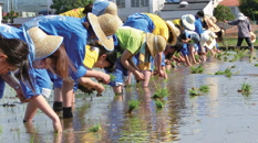 生物生産学科