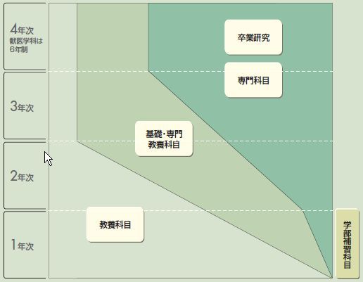 農学部カリキュラム図