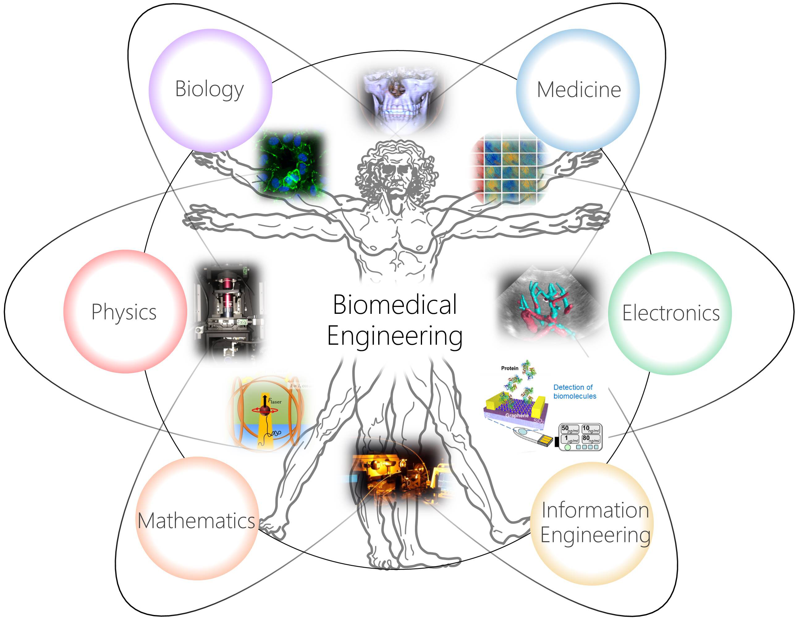Characteristics of Learning in the Department of Biomedical Engineering