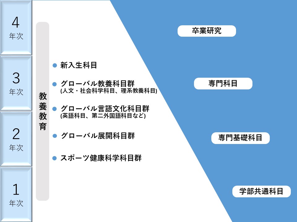 Curriculum diagram Faculty of Engineering
