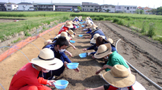 Graduate School of Agriculture (Master Course, Doctoral Course)