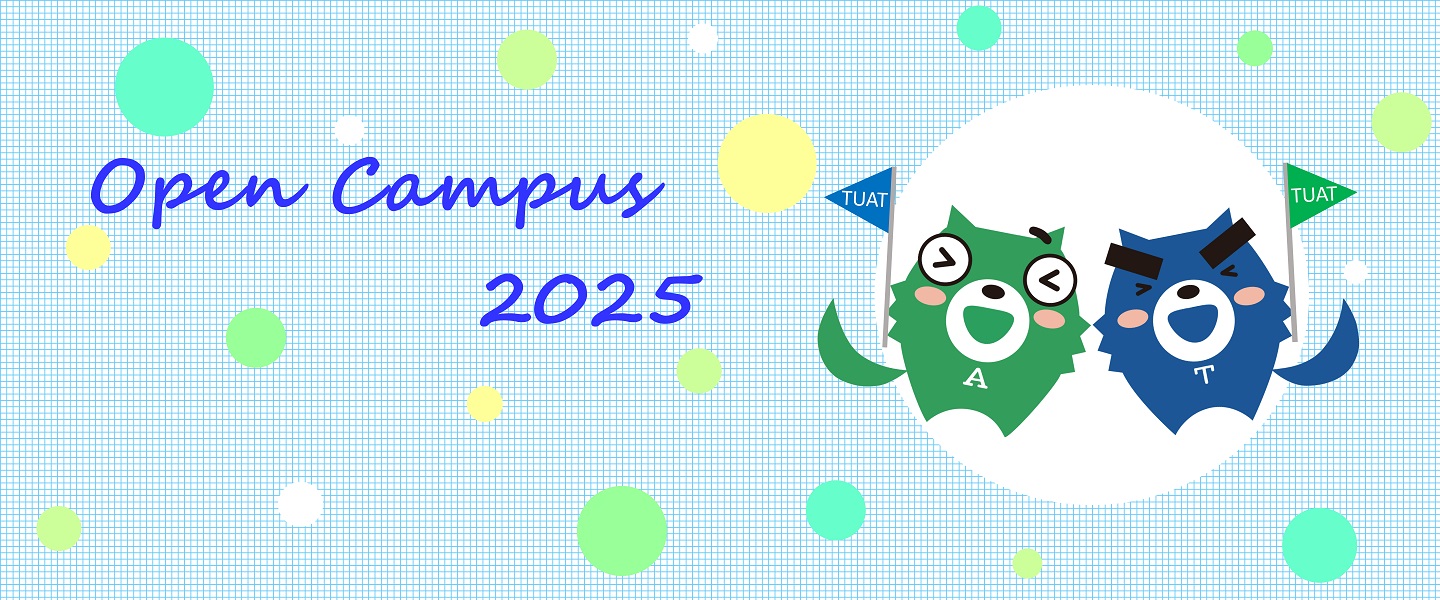 赤本　東京農工大学　2011年～2022年　12年分 東京農工大学 (2025年版大学赤本シリーズ) | 教学社編集部 |本