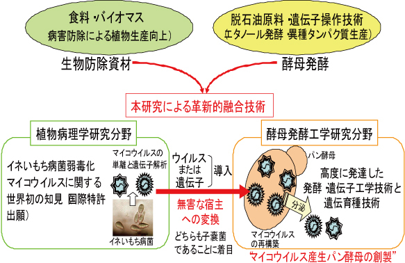 図1 新しく開発した環境調和型マイコウイルスを用いた生物農薬の開発