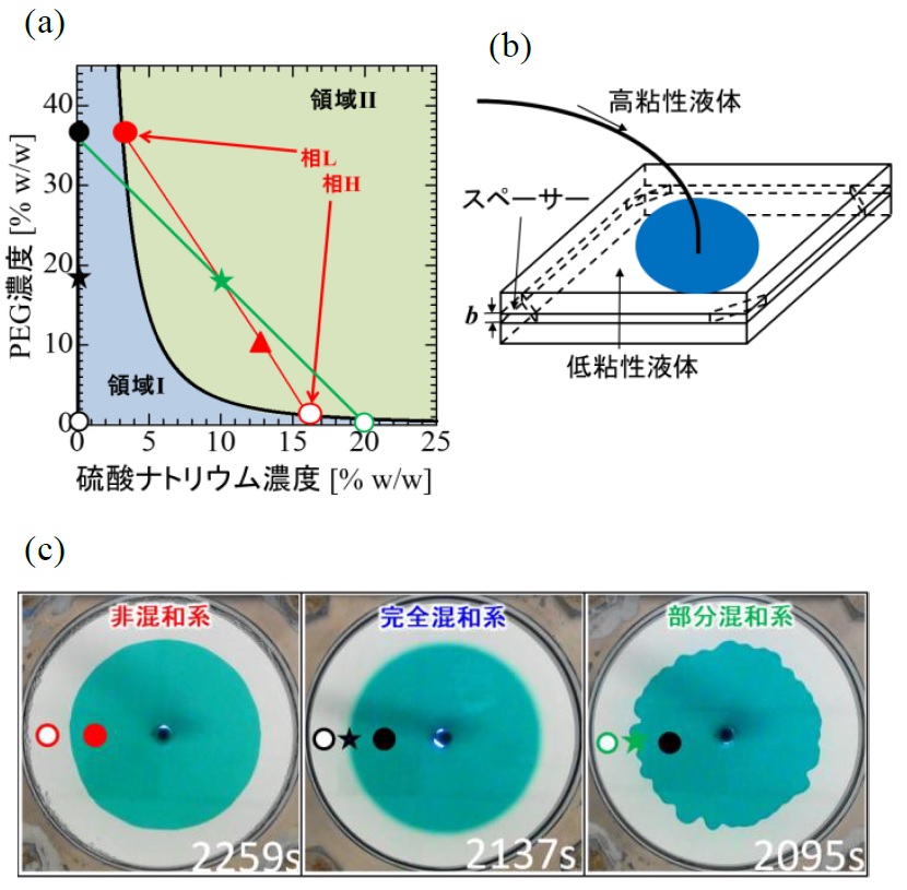 2020年2月6日リリース〕流体力学の常識を覆す！地層中での流体置換を