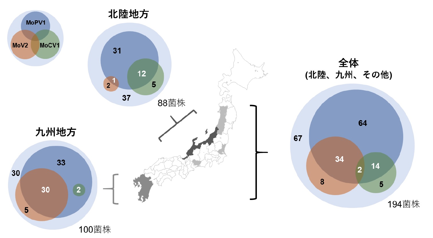 ウイルスの基礎知識動画3本（その１、ウイルス増殖、その２、ヒトのウイルスに対する免疫、その３、ウイルスＲＮＡ検出法）（2月24日作成）