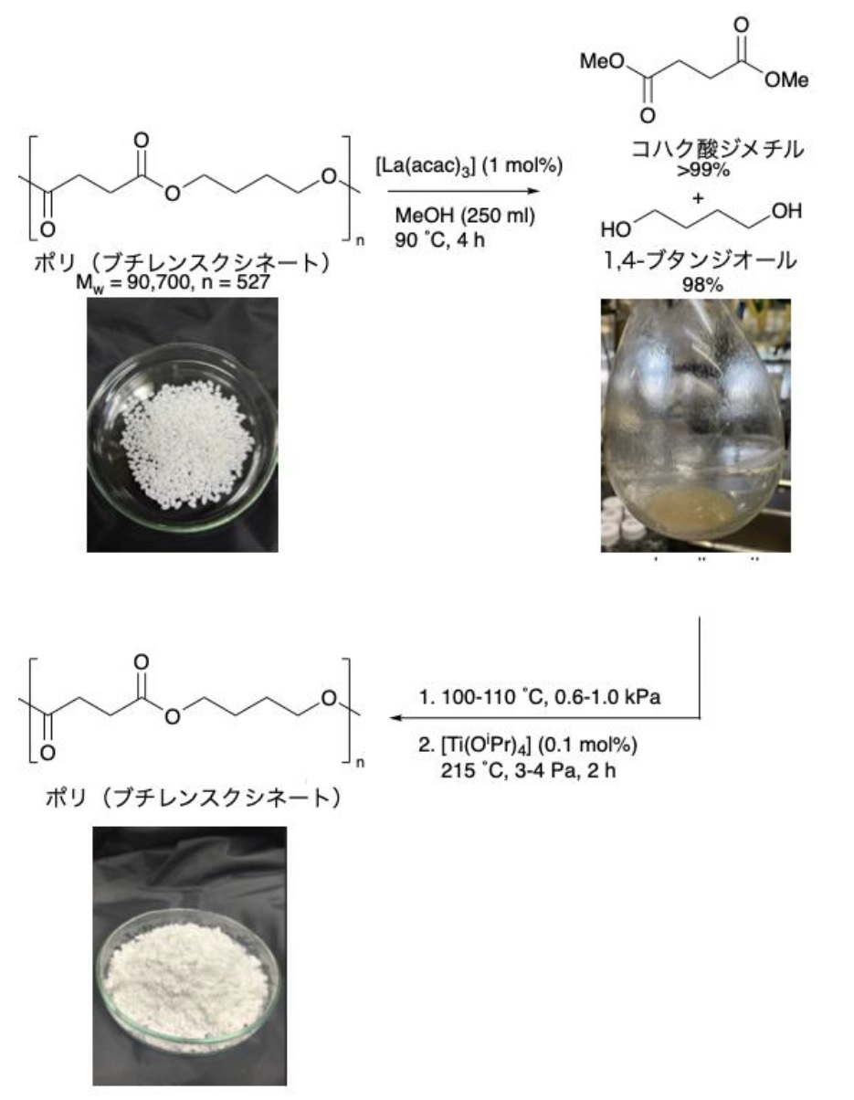 市販のペットボトルも完全分解―ポリエステルを原料の単量体に完全分解する触媒反応を開発：プラごみ問題の解決に道