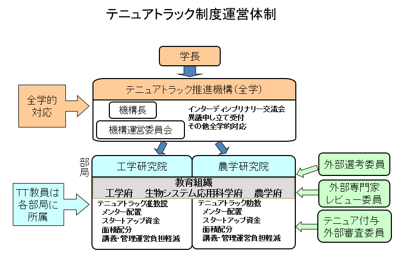 テニュアトラック推進機構 | 附属機関 | 大学案内 | 国立大学 